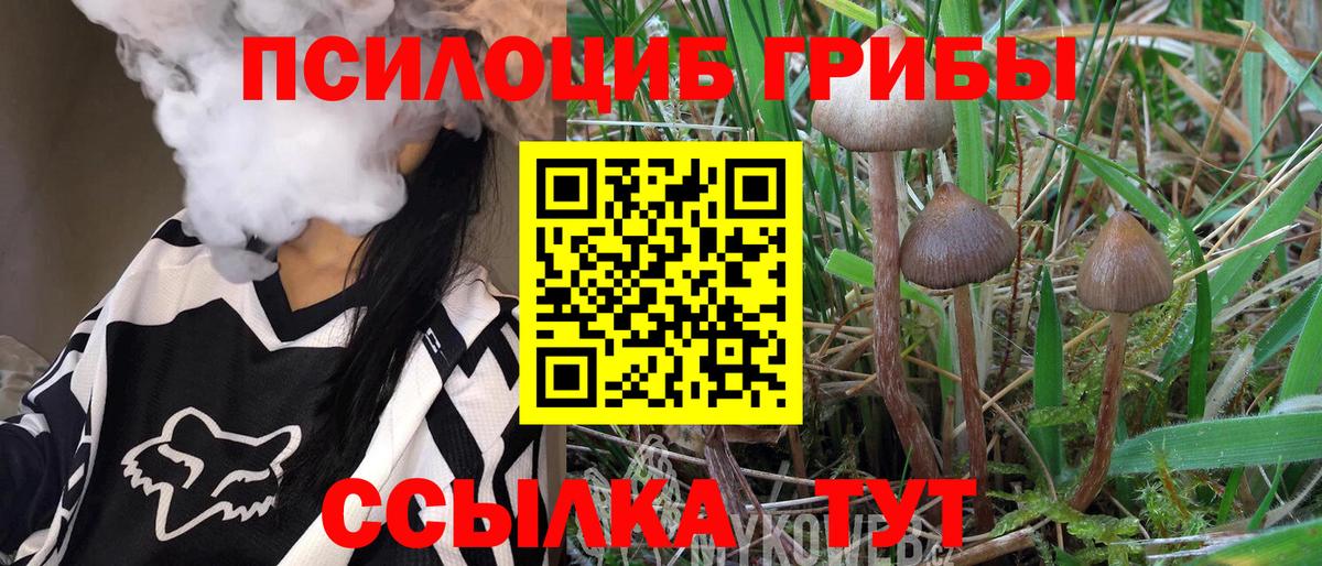 Псилоцибиновые грибы GOLDEN TEACHER Саров
