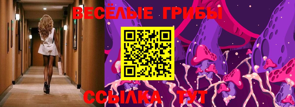 Саров  Галлюциногенные грибы MAGIC MUSHROOMS  Вход с VPN 
