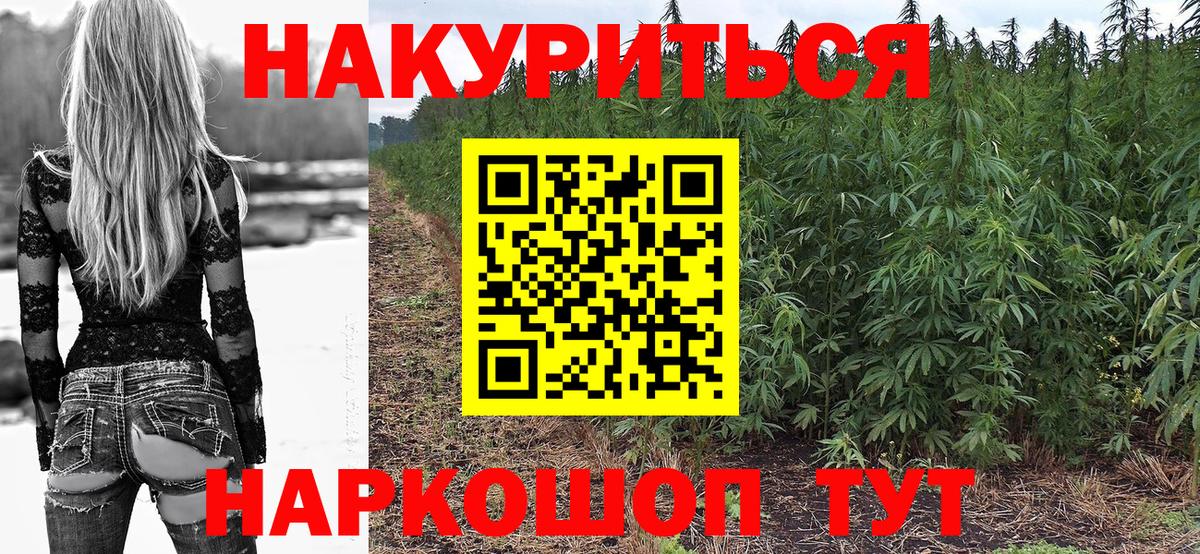 Шишки марихуана гибрид Саров